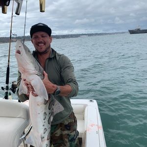 Meet your Posher, Ryan